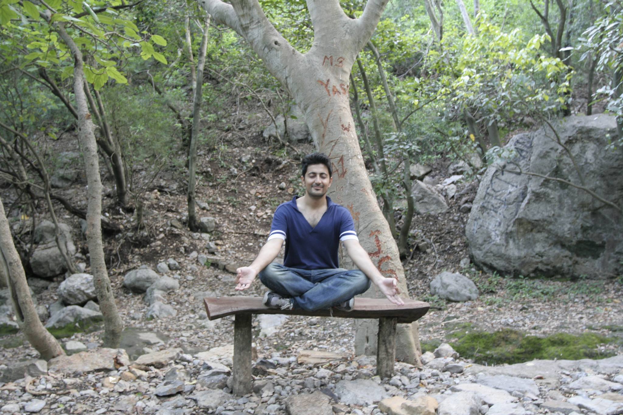 A bench in the forest